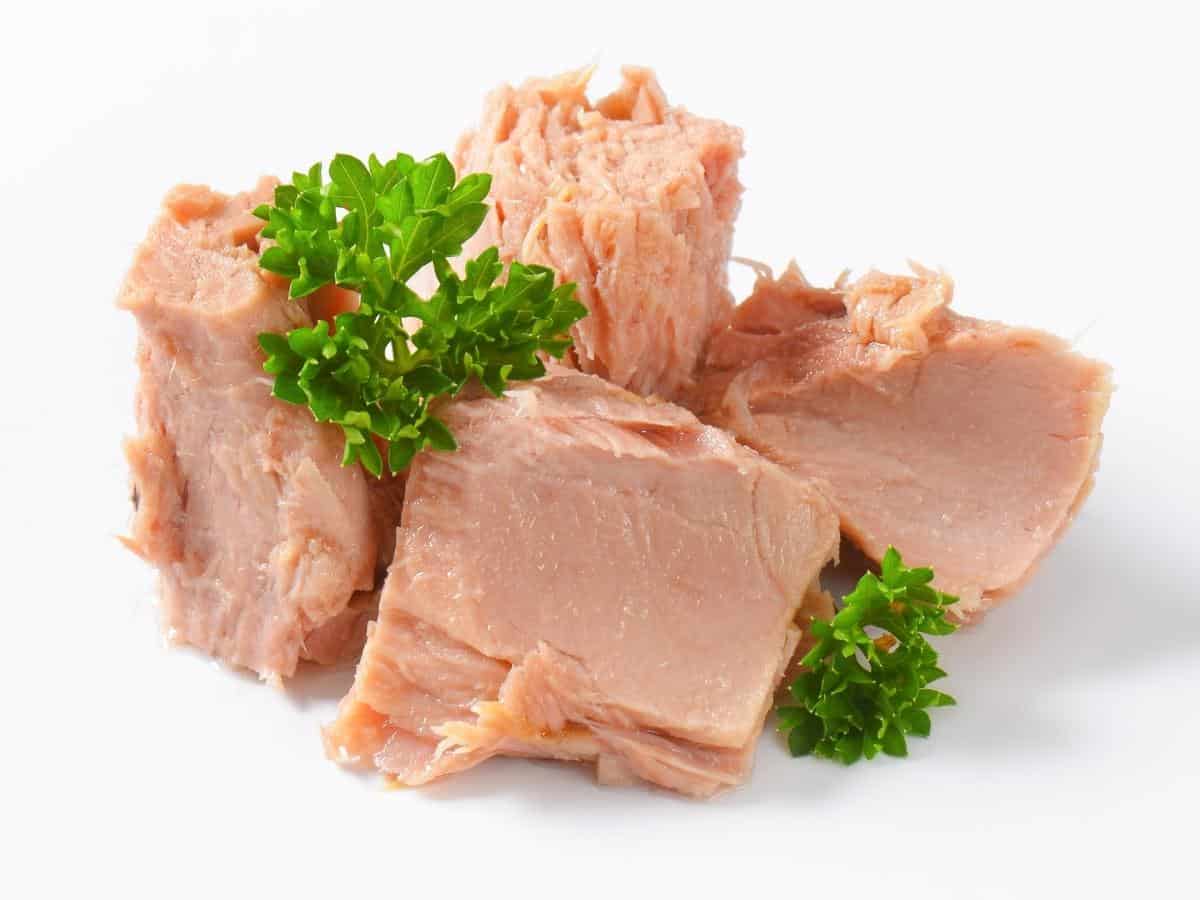 What Human Foods Can Pitbulls Eat?Tuna