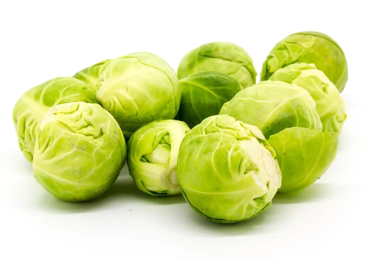 What Human Foods Can Bulldogs Eat? Brussels Sprouts