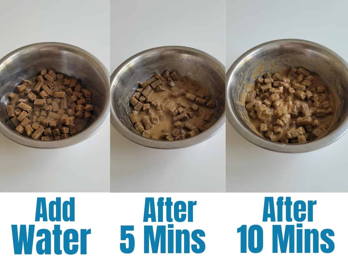 Bowls of kibble showing added water after 5 and 10 minutes.