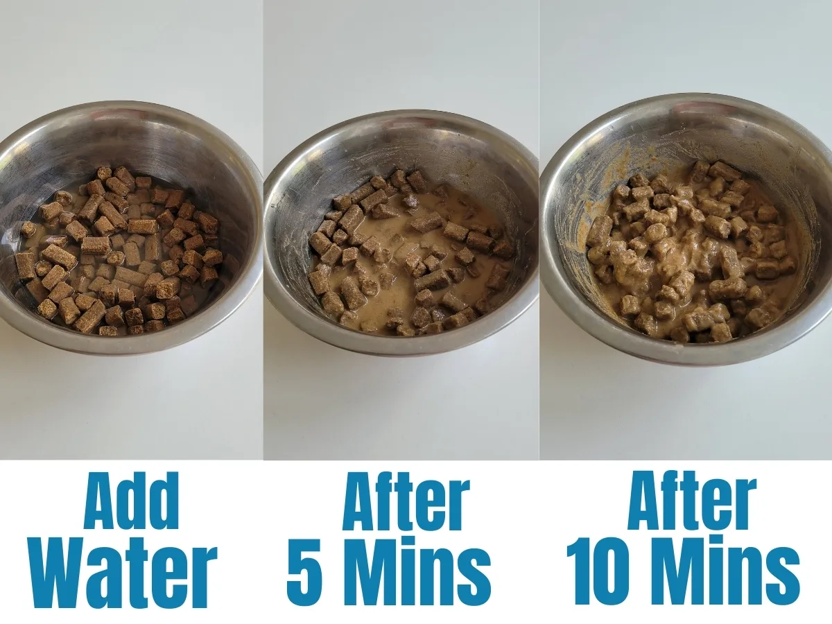 How To Add Water To Dry Dog Food. Bowls of kibble showing added water after 5 and 10 minutes.