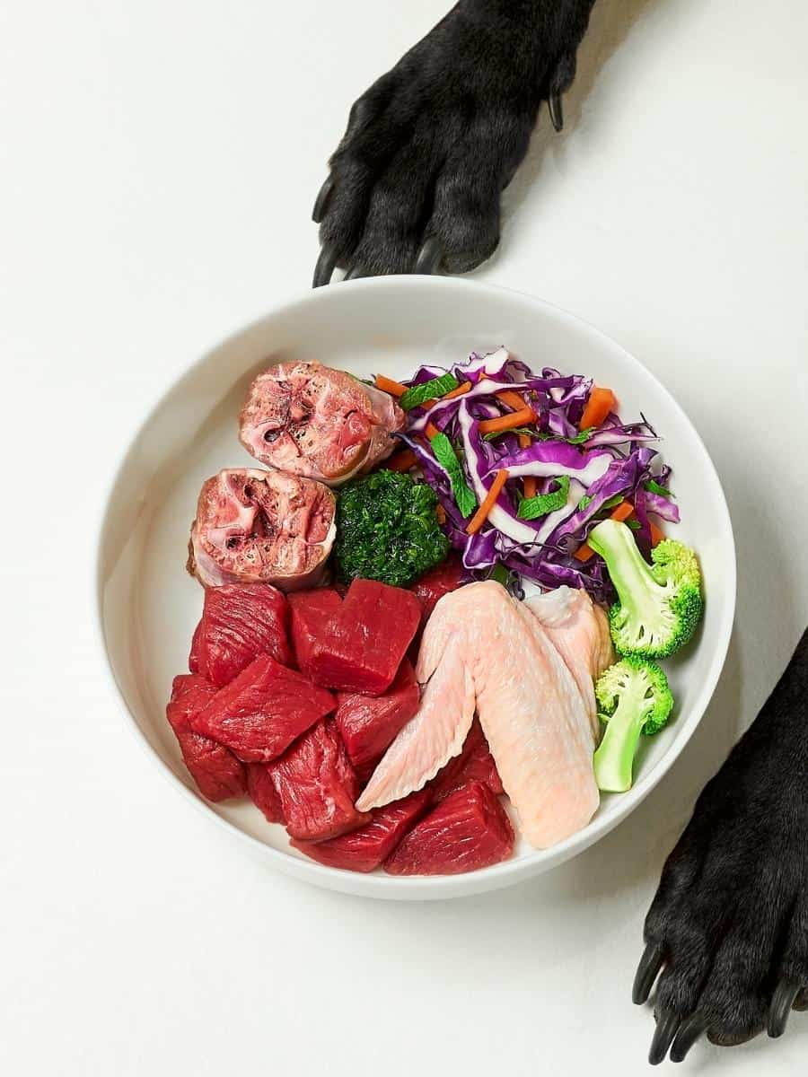 Bowl of Raw Dog Food. Should You Feed Your Dog Raw Food?