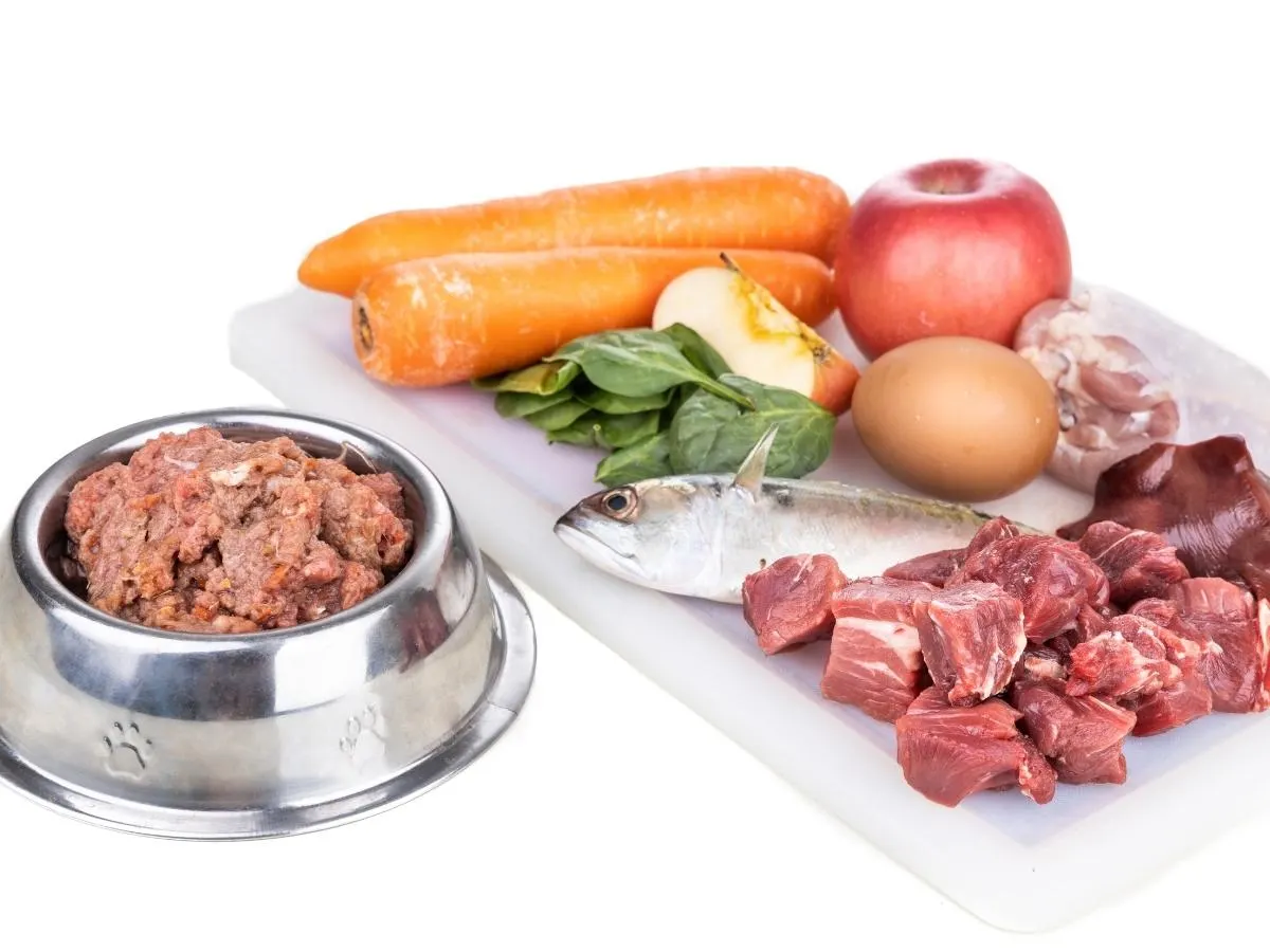 Raw Dog Diet. How Much Does It Cost To Feed Your Dog Raw?