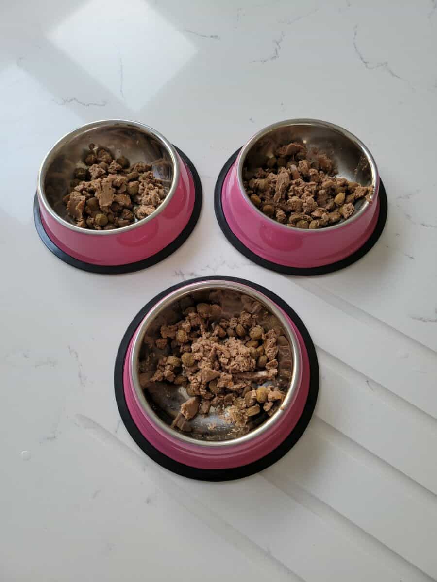 Bowls of Dry Dog Food With Added Wet Dog Food