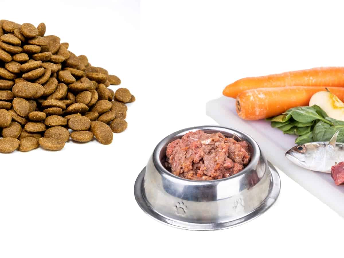 Different types of dog food including kibble and raw foods.