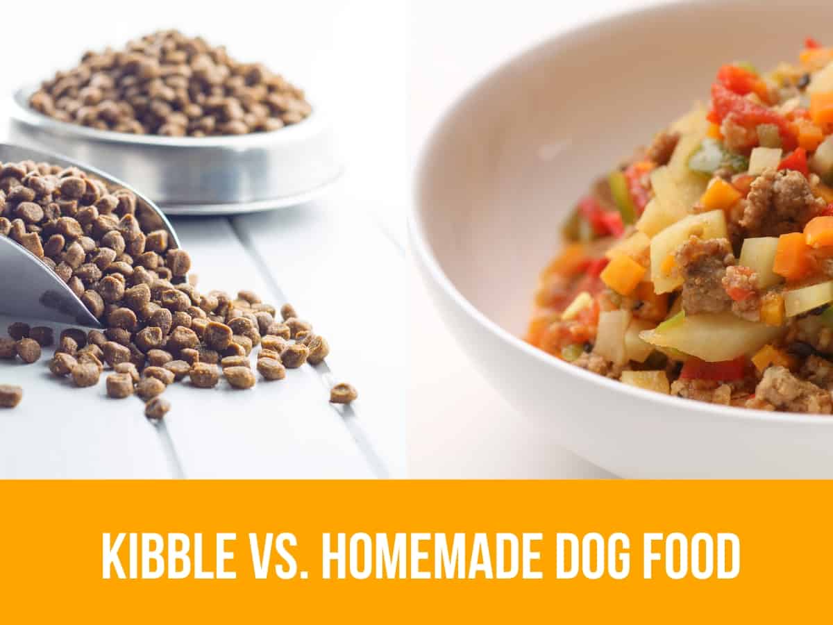 Kibble vs. Homemade Dog Food