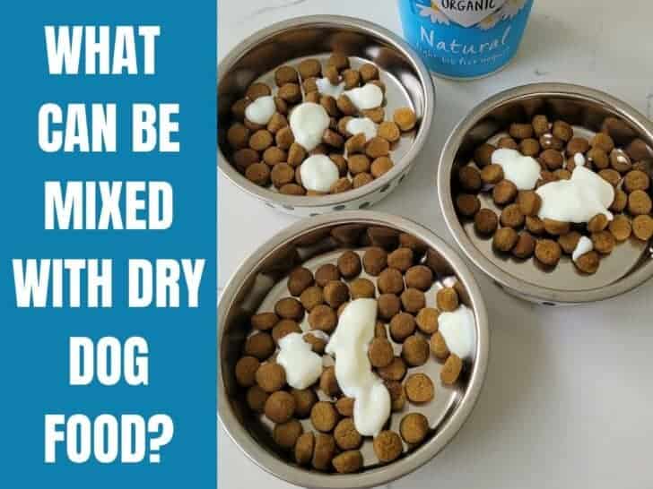 What Can Be Mixed With Dry Dog Food? Dry dog food with a spoonful of organic yogurt.