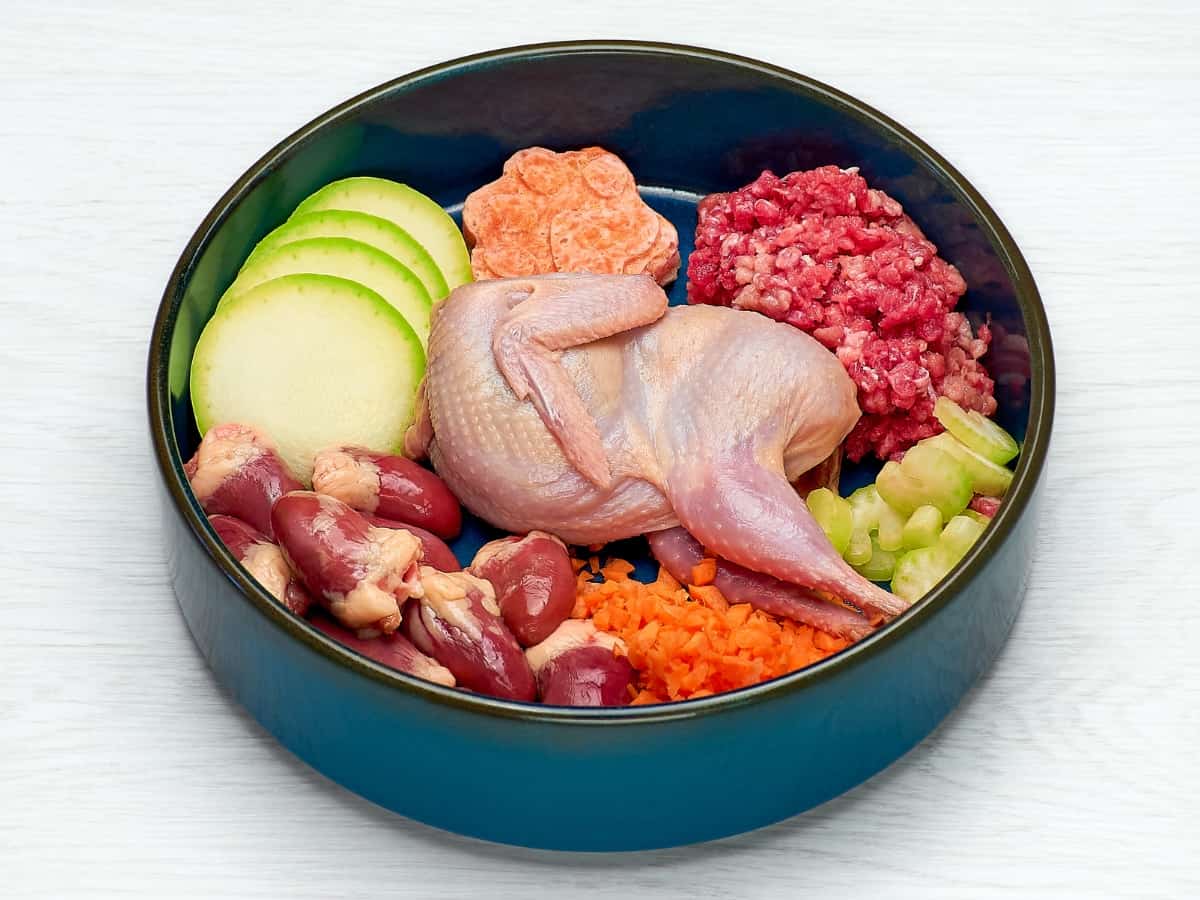 Bowl of Raw Dog Food. How Long Can You Leave Raw Dog Food Out?