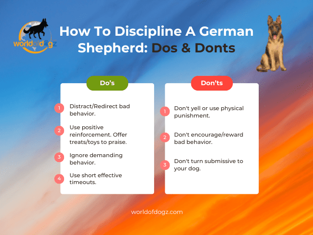 An infographic explaining dos and donts in the process of disciplining a GSD