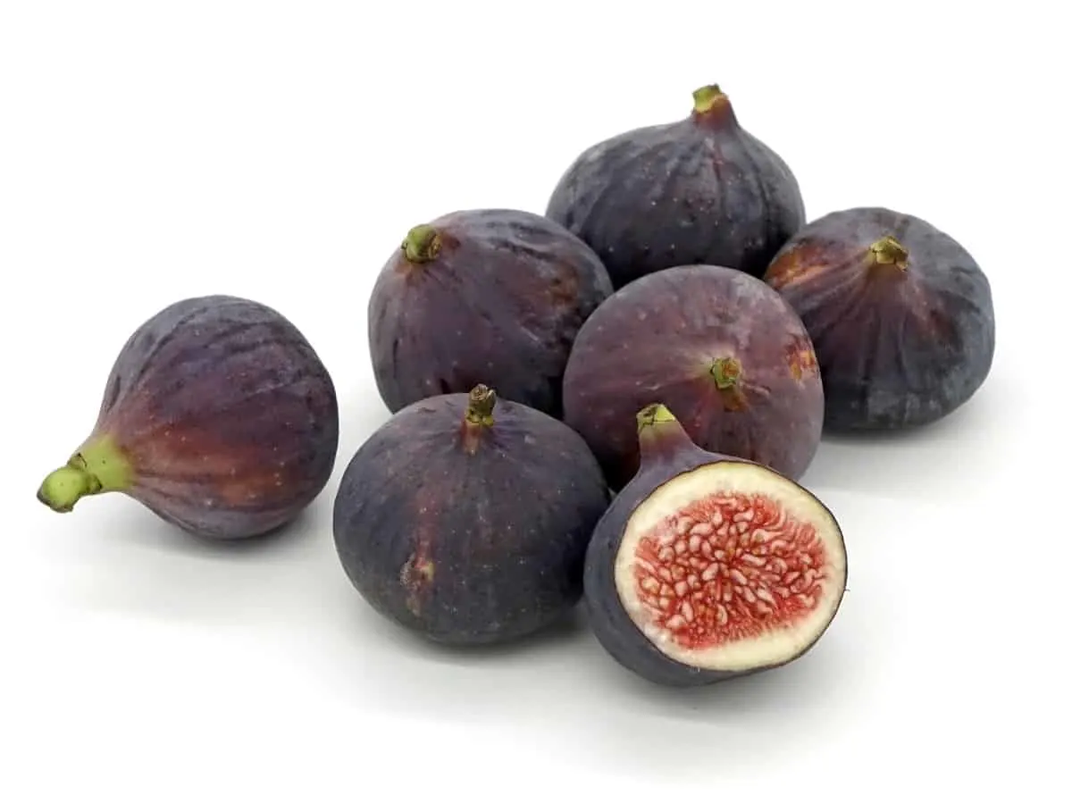 Figs. Can Chihuahuas Eat Figs?