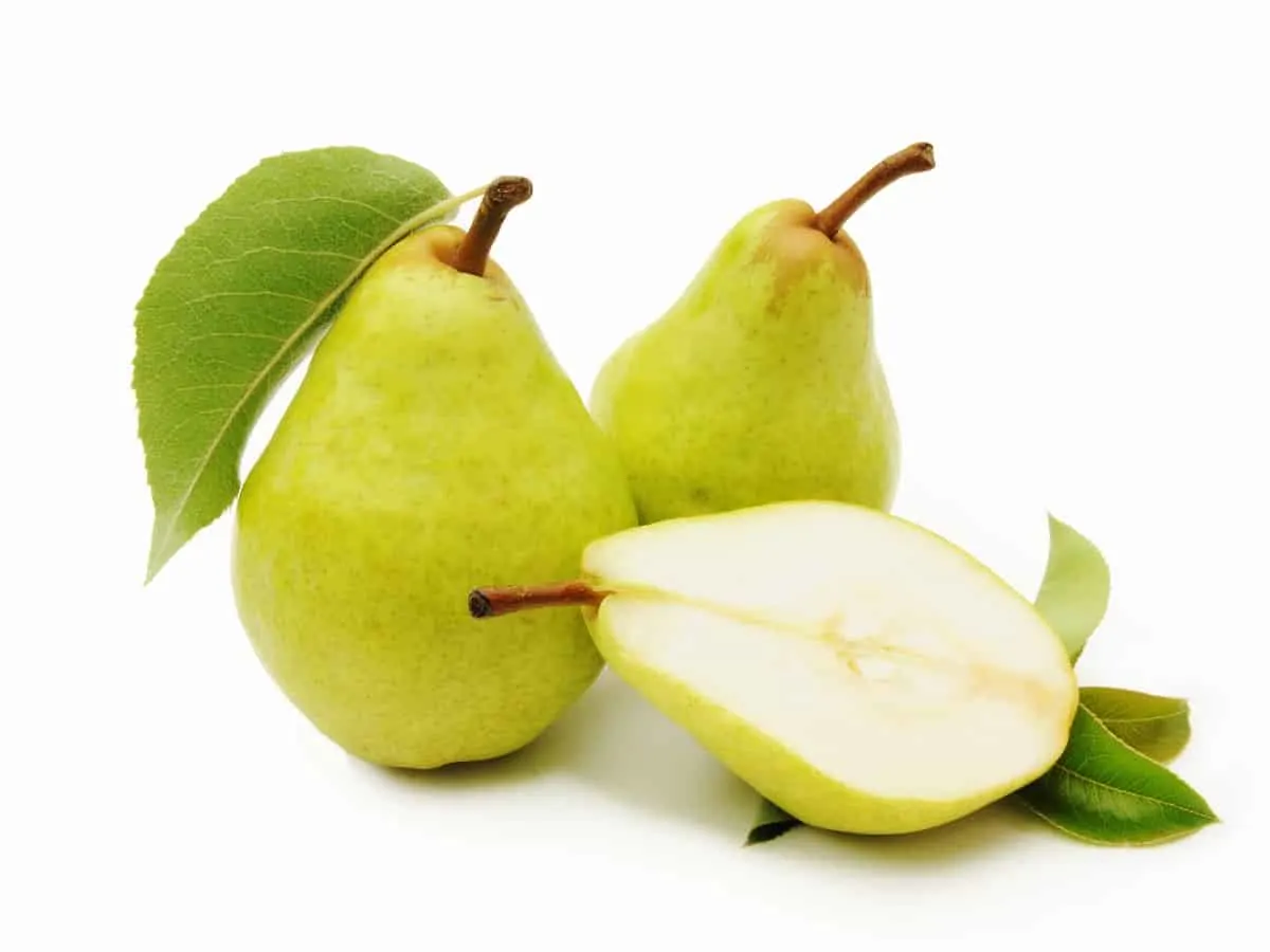 Pear. Can Chihuahuas Eat Pear?