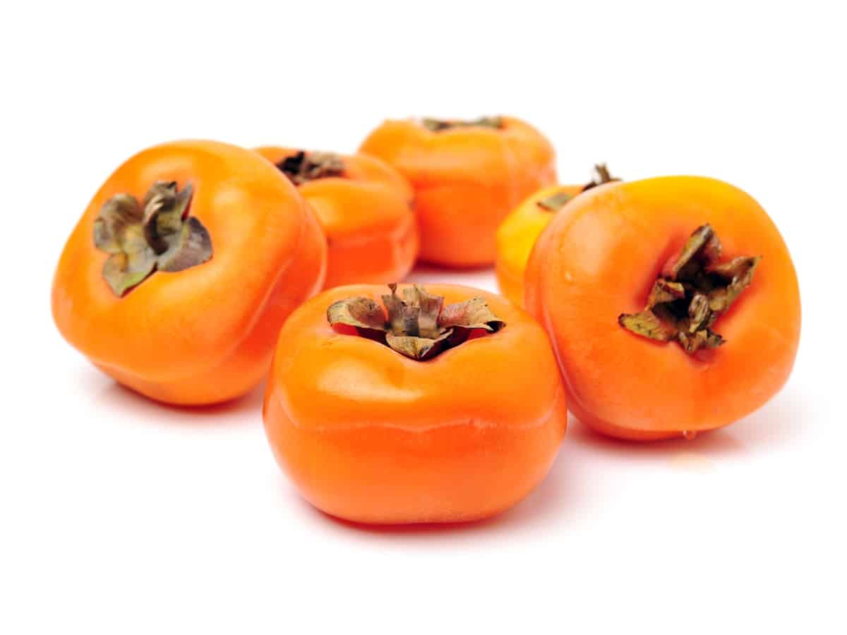 Persimmon. Can Chihuahuas Eat Persimmon?