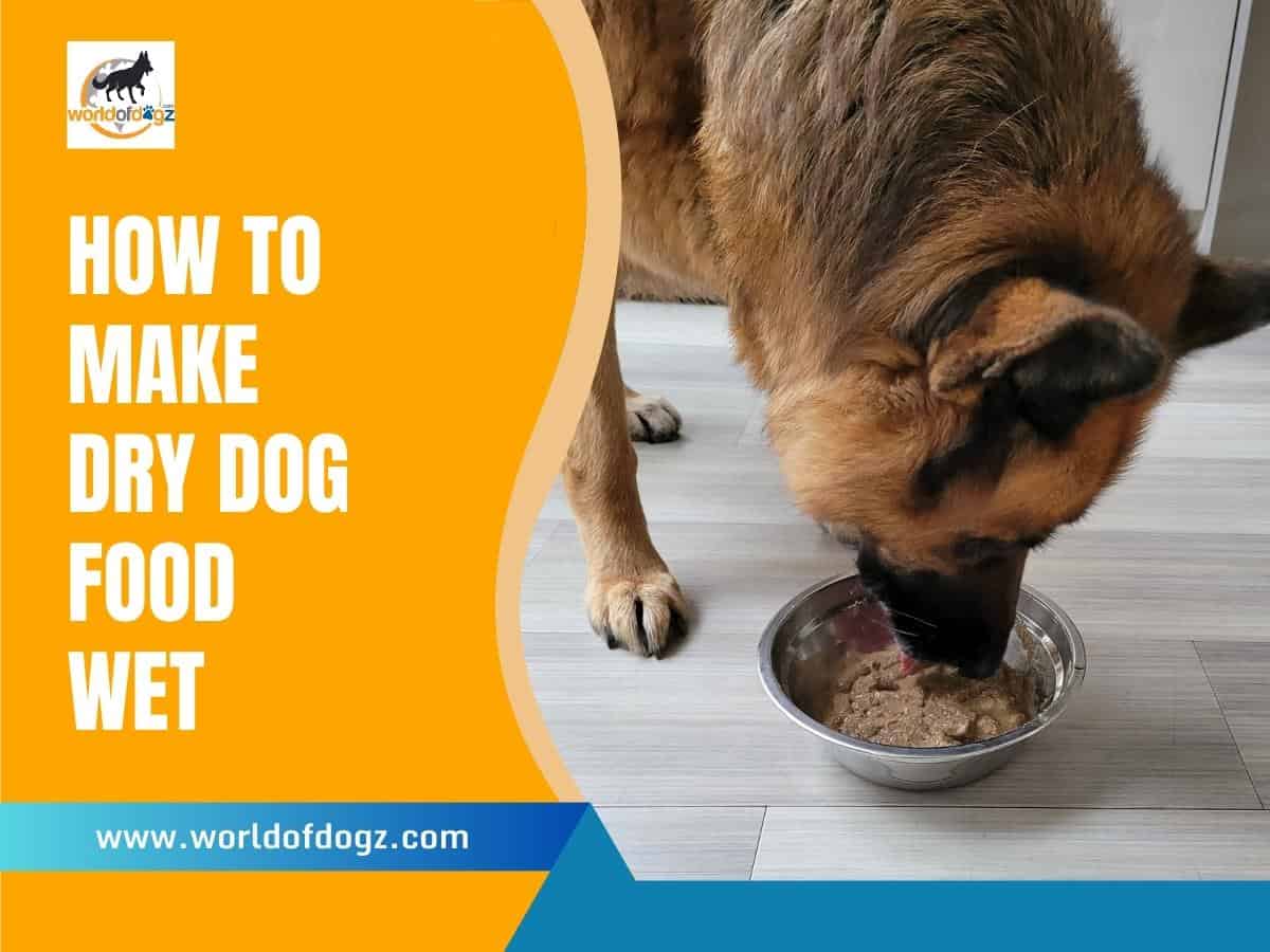 How To Make Dry Dog Food Wet