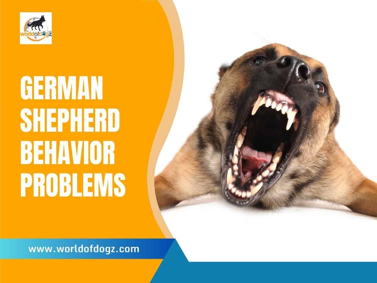 A poster highlighting German Shepherd Behavior Problems