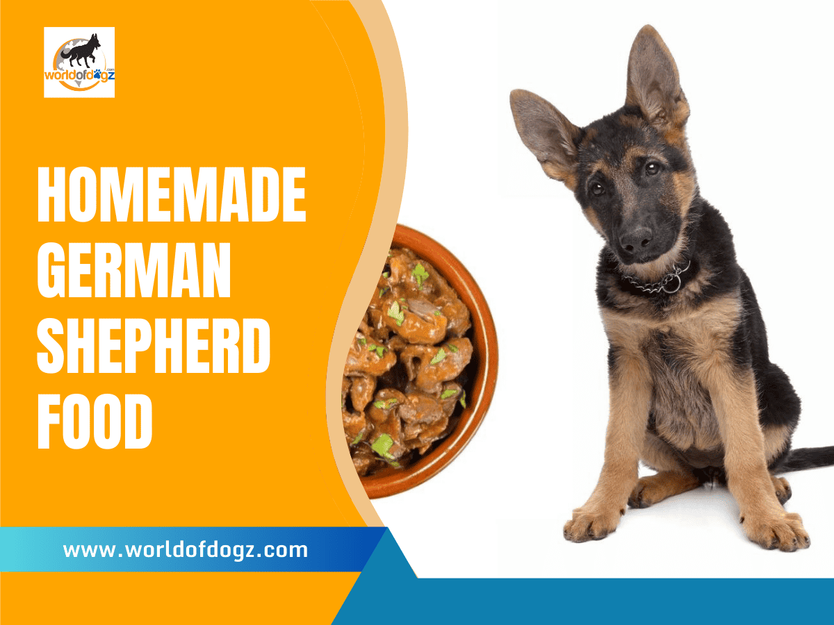 Homemade German Shepherd Food