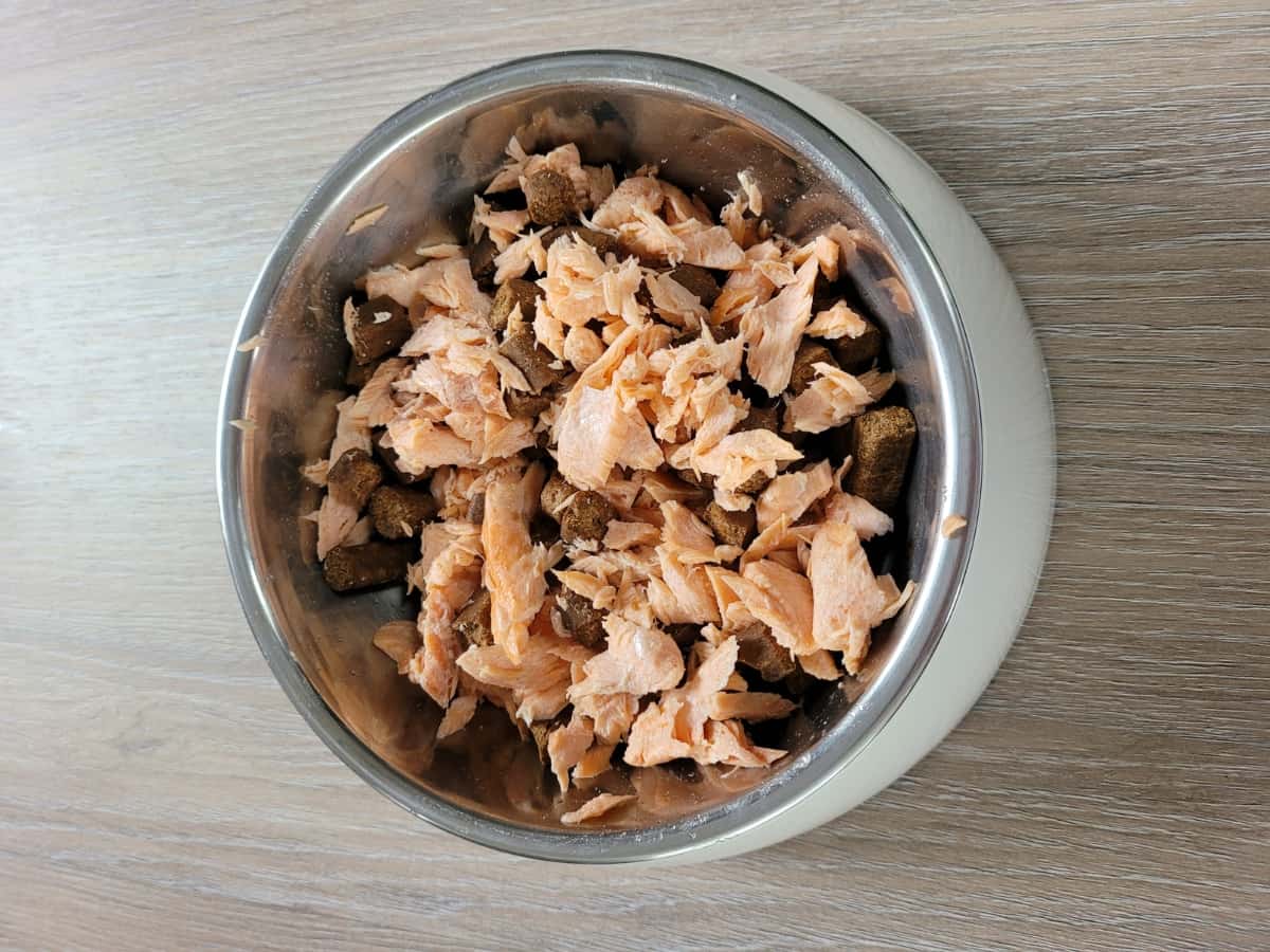 Kibble with a Salmon Topping
