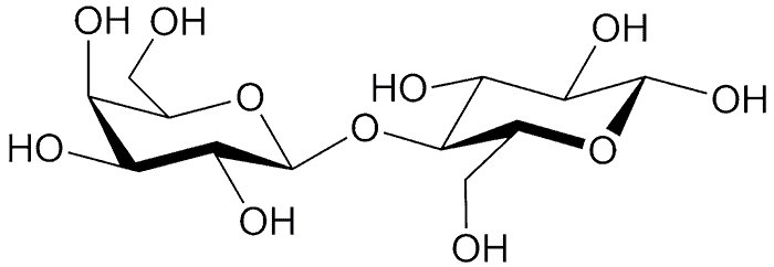 Lactose Chemical Composition