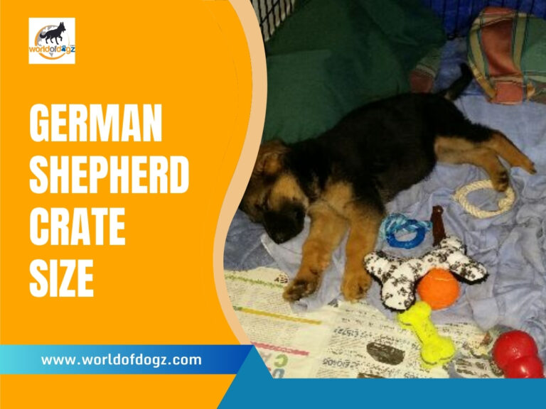 German Shepherd puppy sleeping in a crate