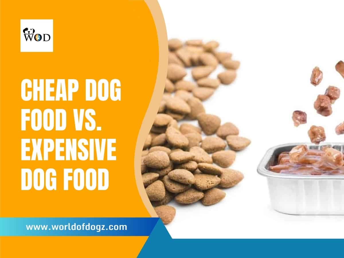 Cheap dog food alongside more expensive dog food