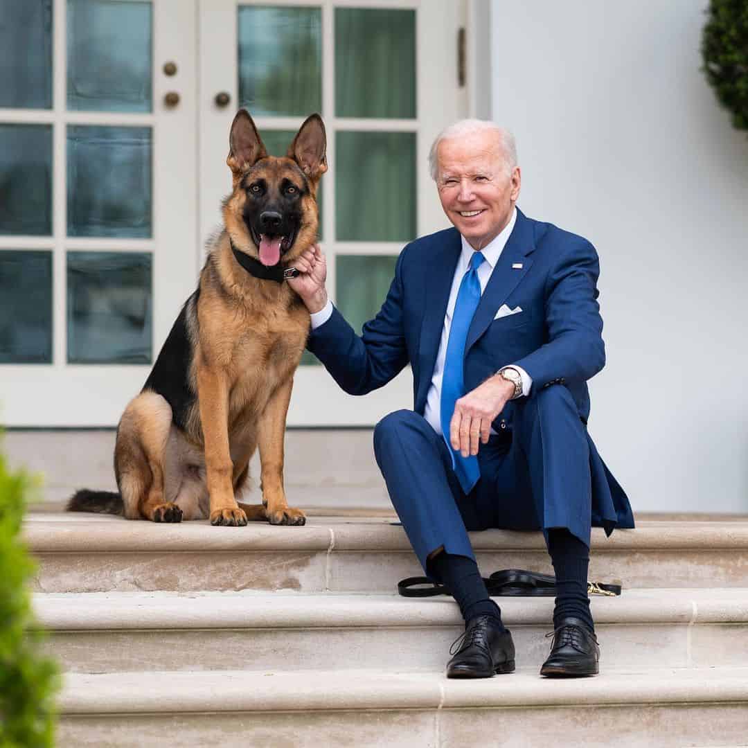 Jo Biden With German Shepherd