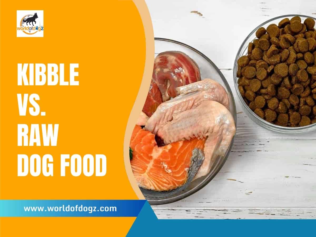A bowl of dry dog food adjacent to a bowl or raw dog food containing raw chicken and meat. 