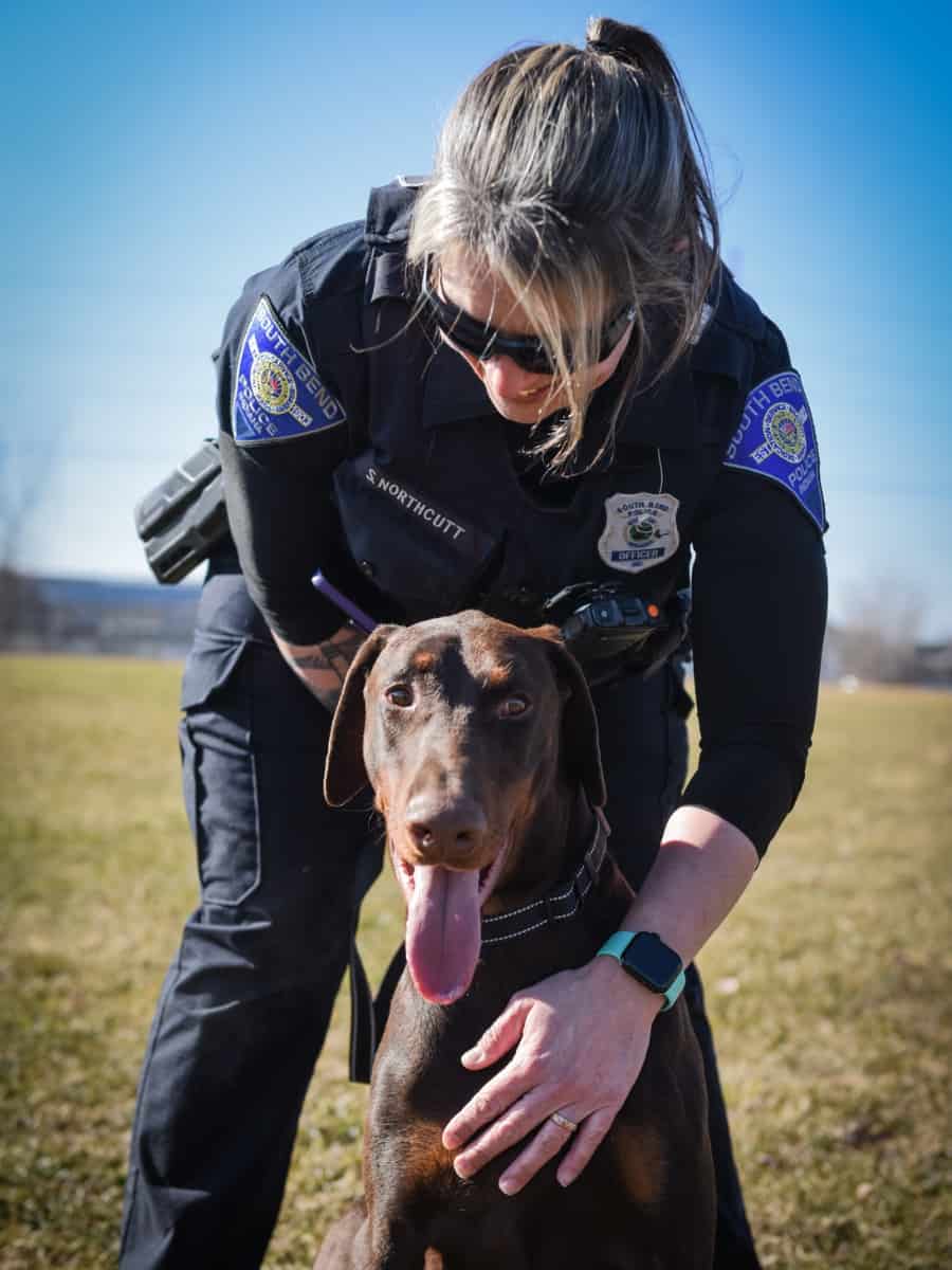 Police officer rescues abused Doberman who had snout zip tied