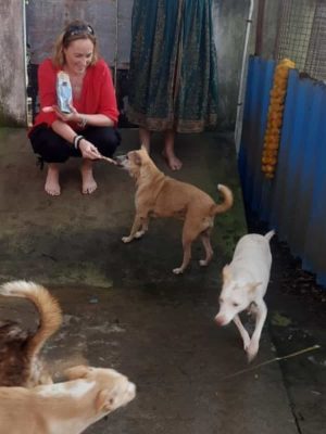 Indian Dog Rescue